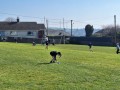 20250410_102753-Copy