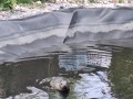 20250530_100356-Copy