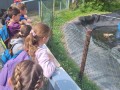 20250530_101538-Copy