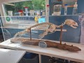 20250530_101931-Copy