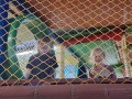 20250530_115201-Copy