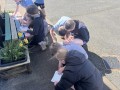 IMG_7285-Copy