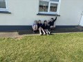 IMG_7302-Copy