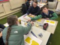 IMG_7067-Copy