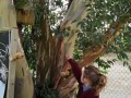 IMG_20210308_133812-Copy