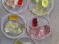 20241115_110352-Copy